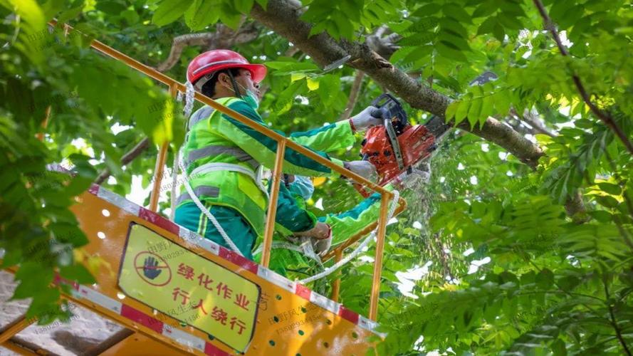 园林管理亟需提升，景观设计不尽人意