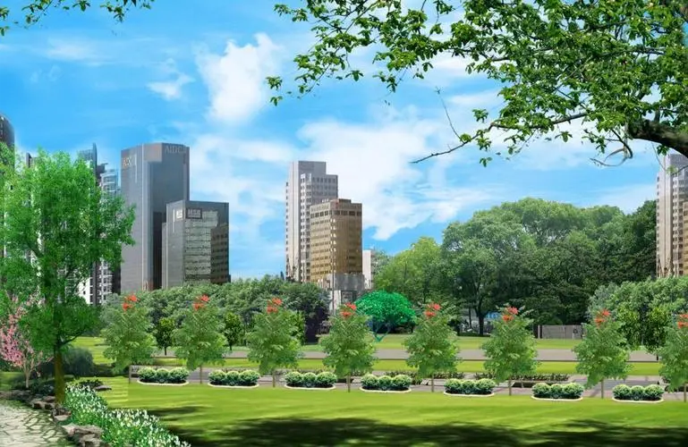 周口城市绿化带种植什么植物好
