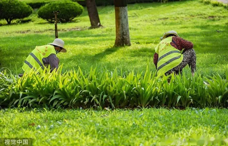 安阳绿化工程2个亿